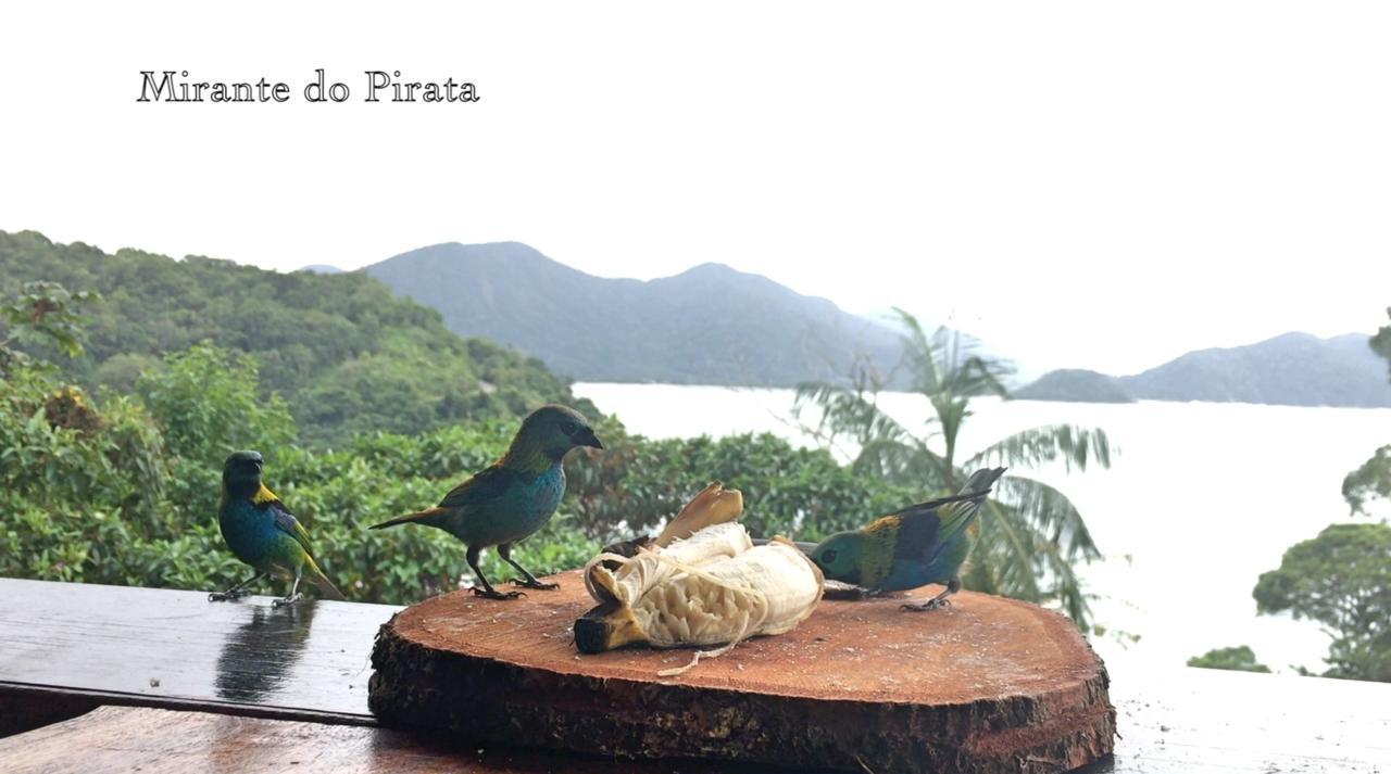 Mirante Do Pirata Inn Ubatuba